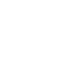 国伟橡胶 logo